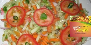 মিক্সড ভেজিটেবল সালাদ